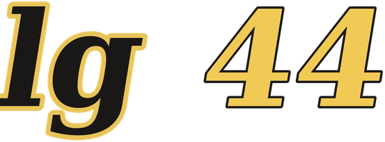 lg 44 logo
